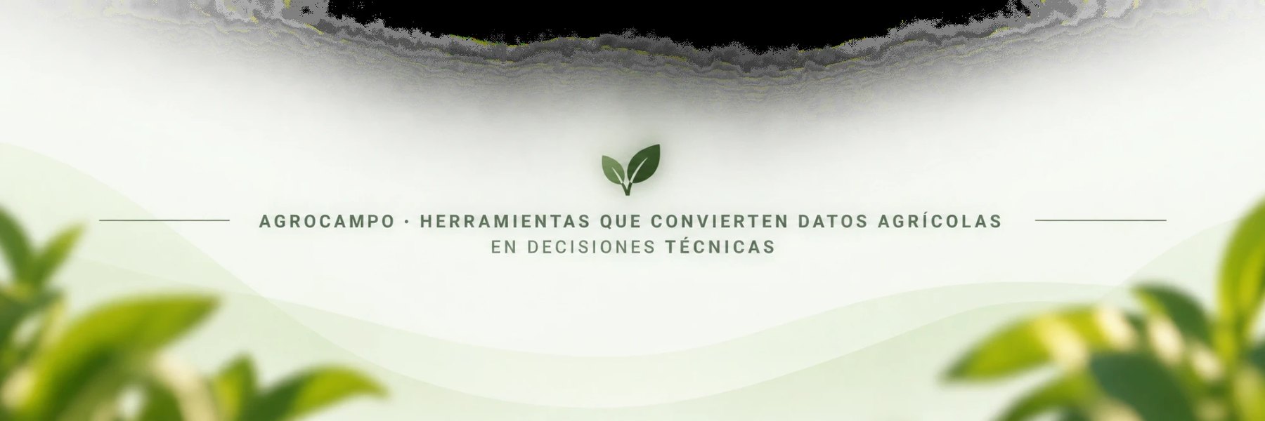 AgroCampo · Herramientas que convierten datos agrícolas en decisiones técnicas